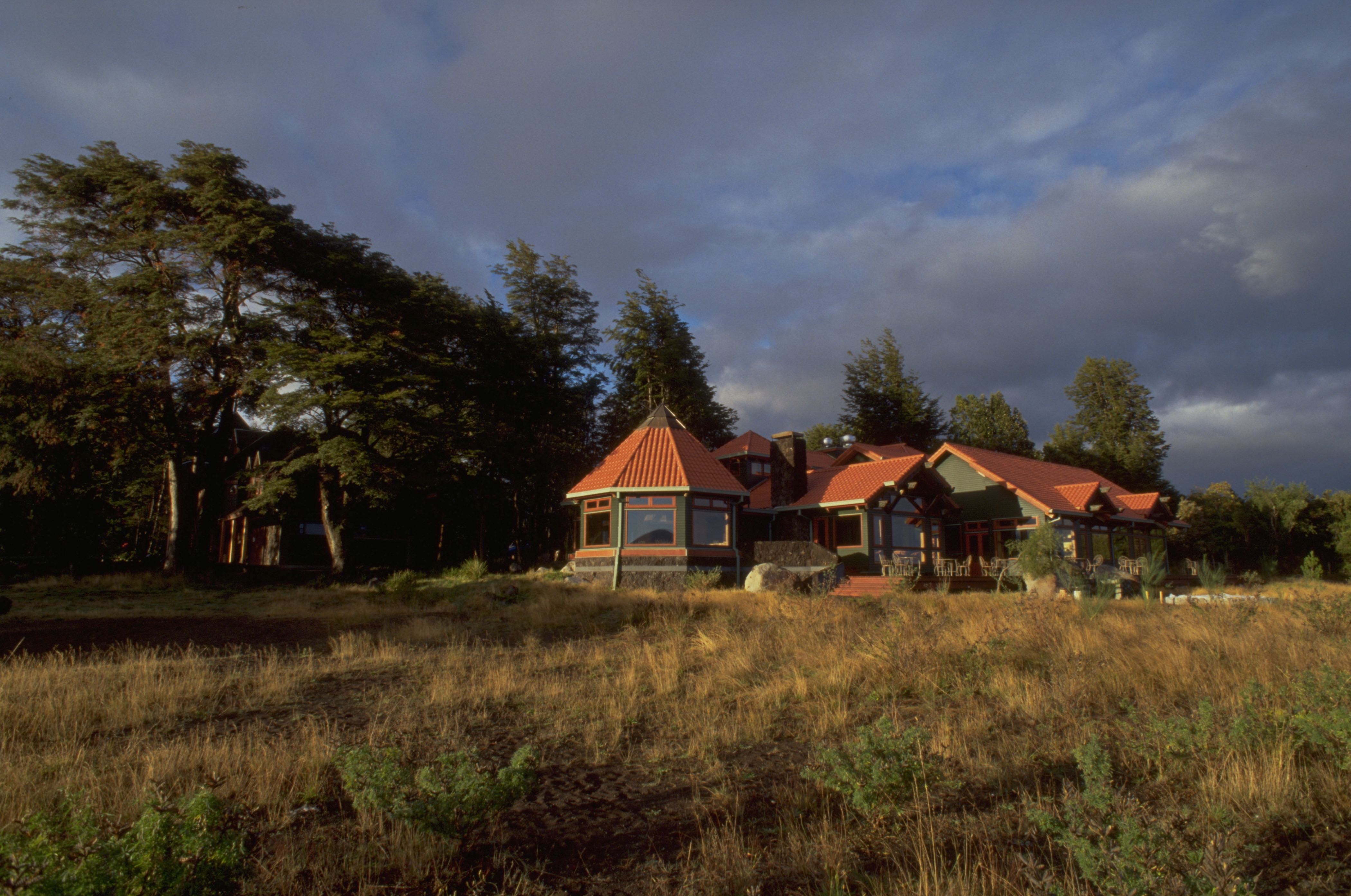 Windswept copy | Southern Chile Expeditions